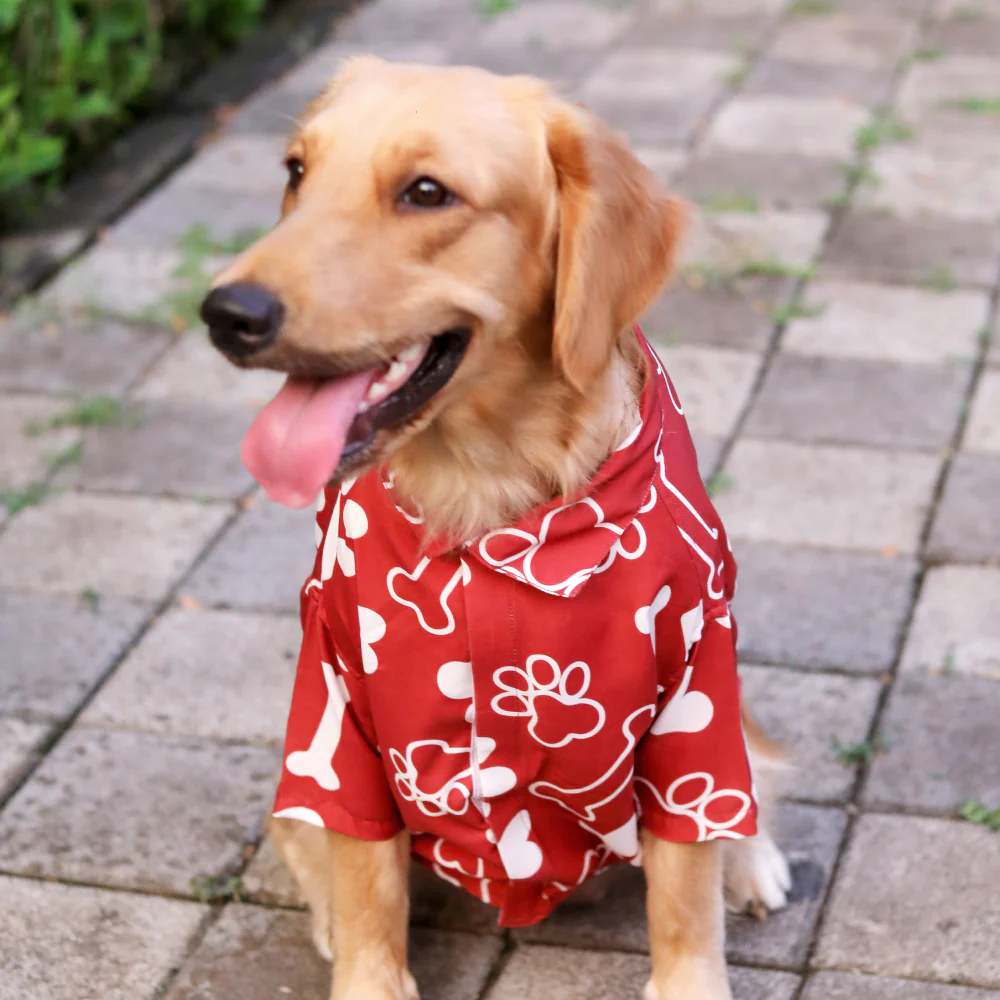 15 Furries Paws-itive Shirt for Dogs - Image 3