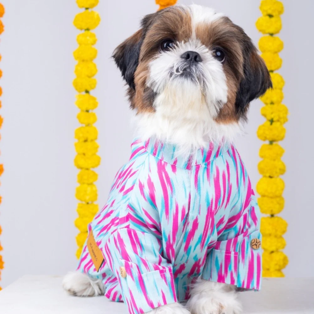 15 Furries Phataka Kurta for Dogs - Image 2