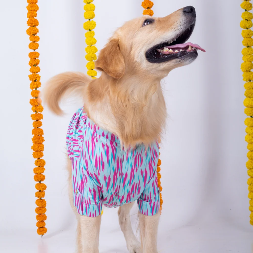 15 Furries Phataka Kurta for Dogs - Image 4