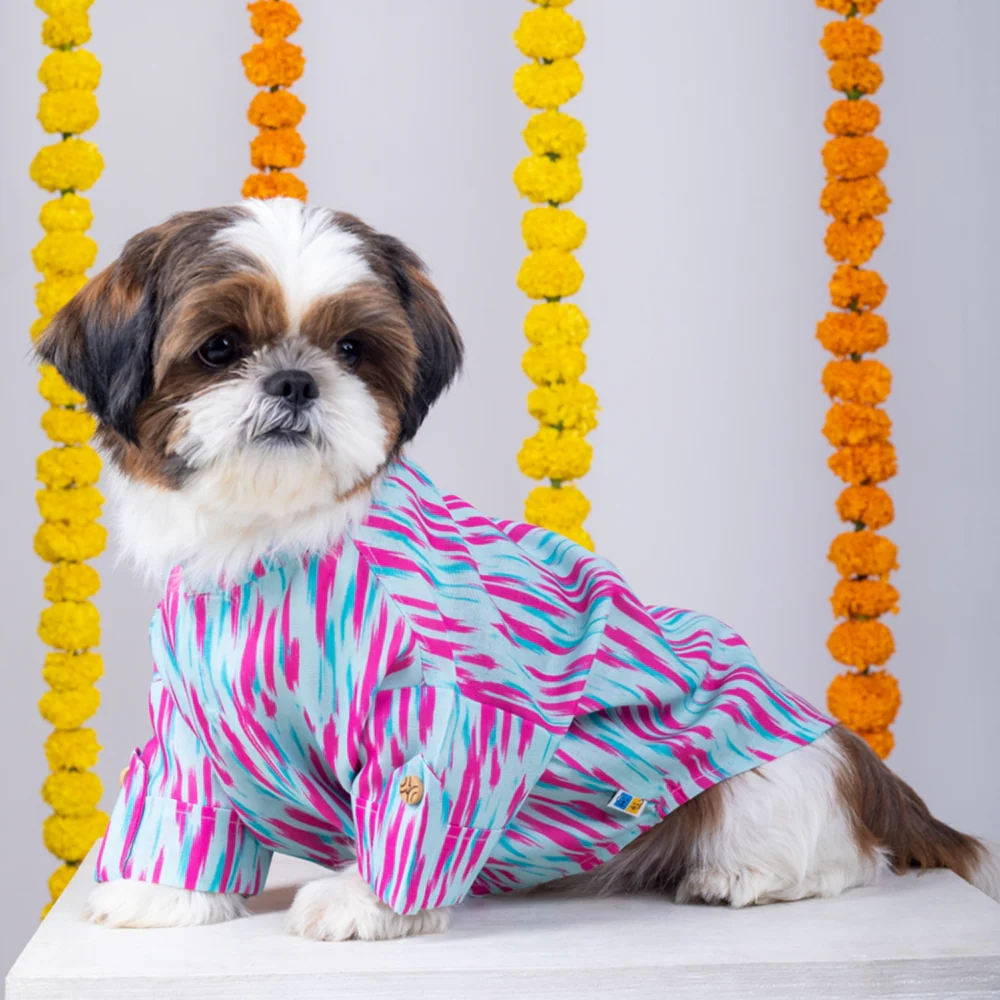 15 Furries Phataka Kurta for Dogs - Image 6