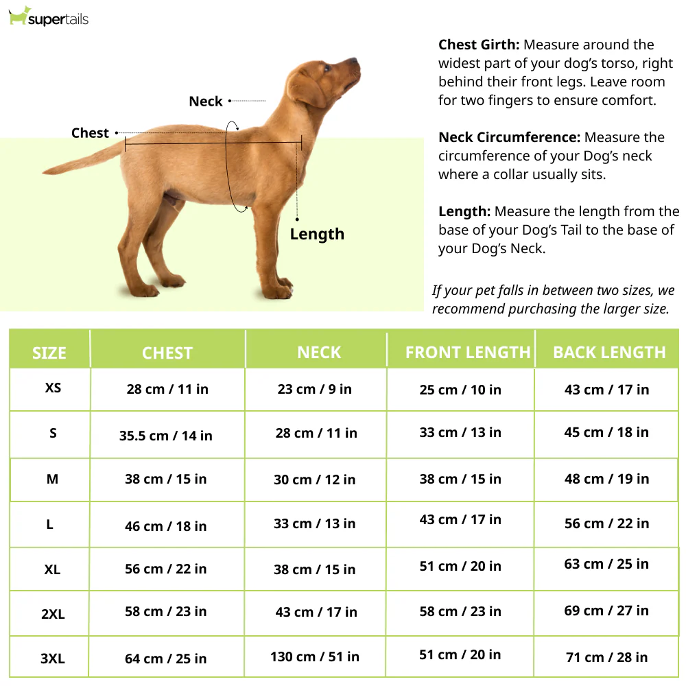 15 Furries Bageecha Kurta for Dogs - Image 9