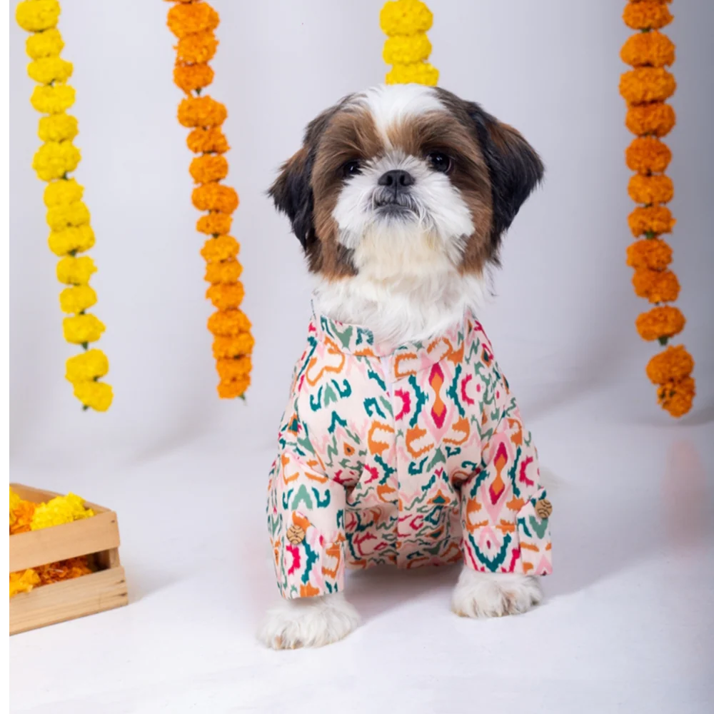 15 Furries Rangeela Kurta for Dogs - Image 2