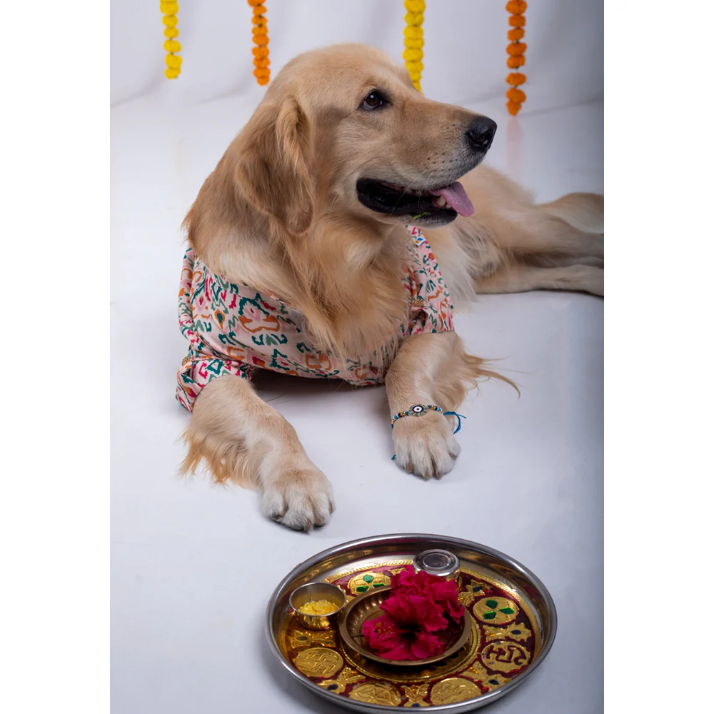 15 Furries Rangeela Kurta for Dogs - Image 4