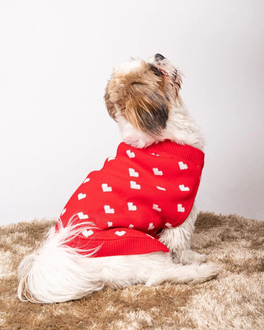15 Furries Red Heart Sweater for Dogs - Image 4