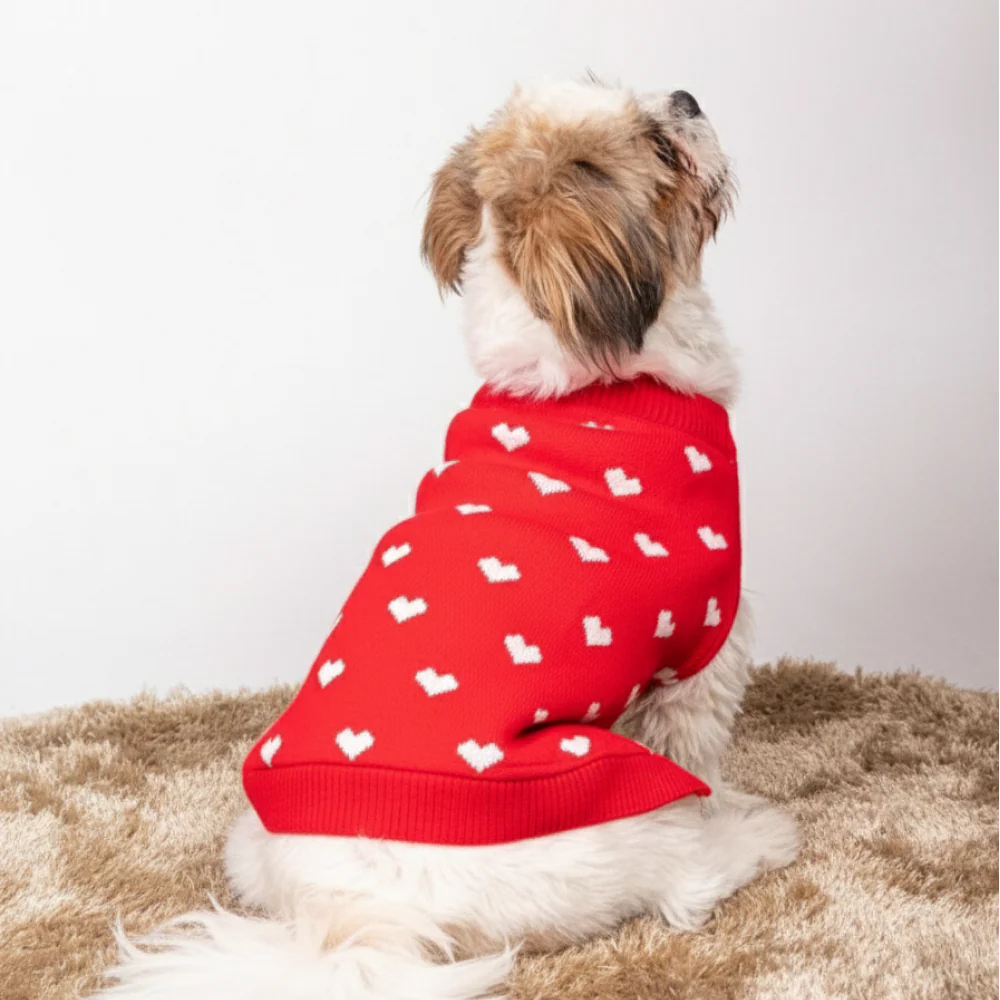 15 Furries Red Heart Sweater for Dogs - Image 6