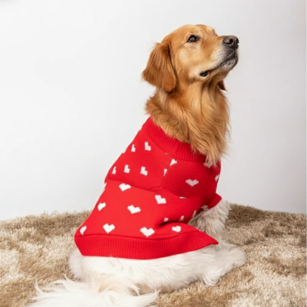 15 Furries Red Heart Sweater for Dogs - Image 7