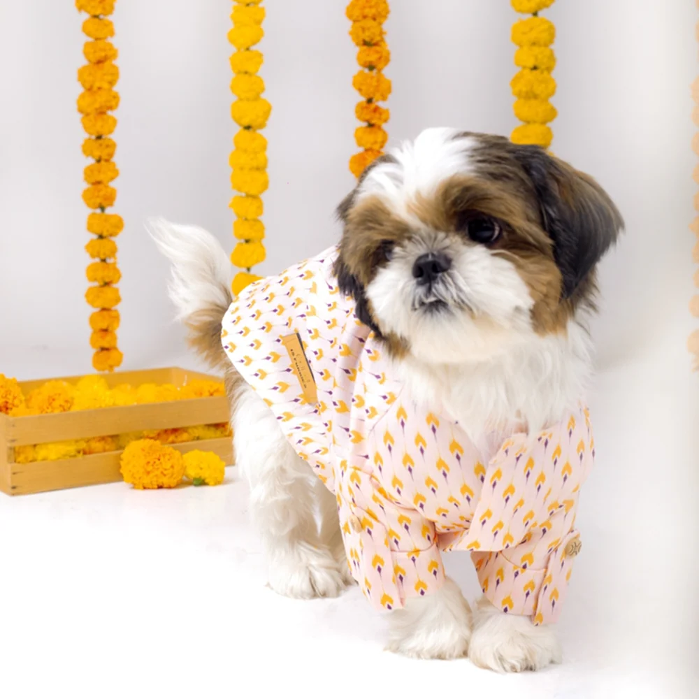 15 Furries Sanskriti Kurta for Dogs - Image 2