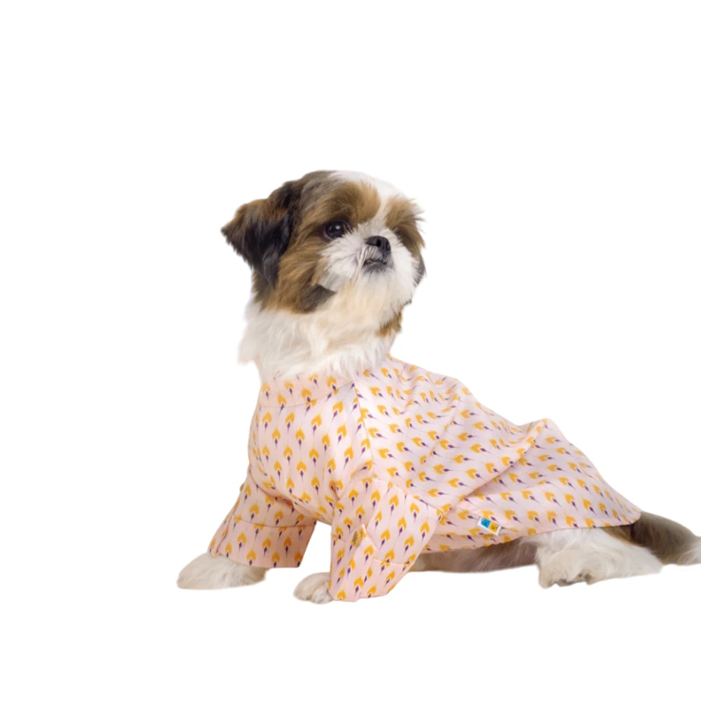 15 Furries Sanskriti Kurta for Dogs - Image 3