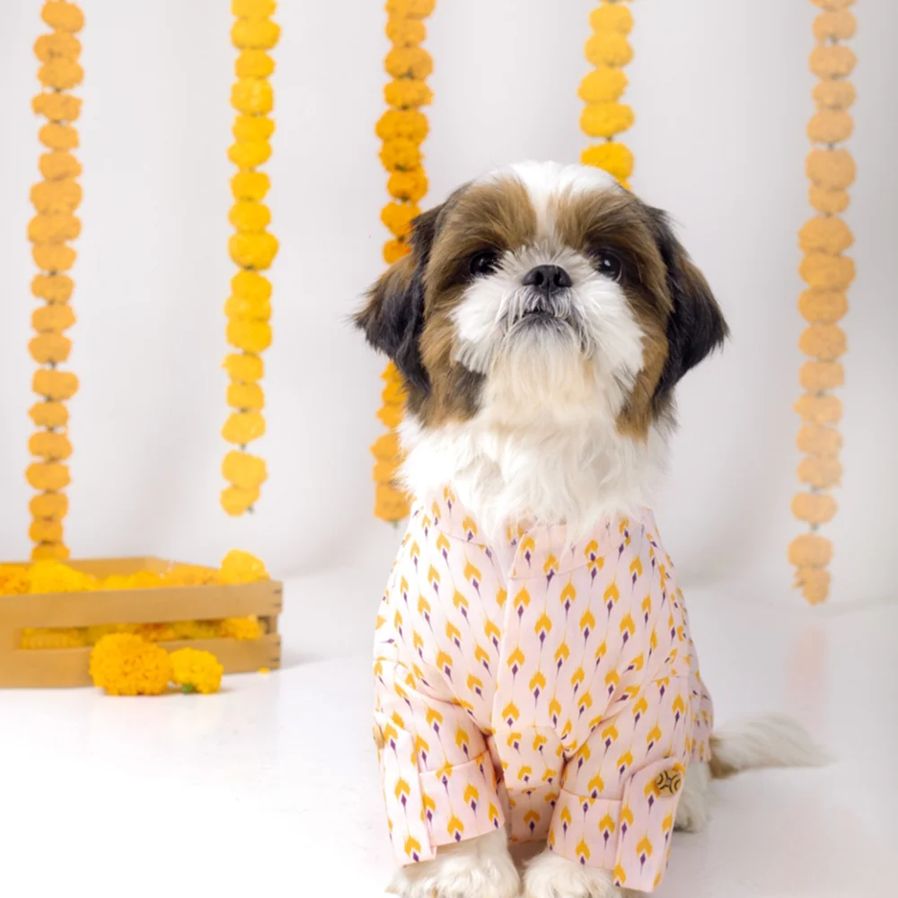15 Furries Sanskriti Kurta for Dogs - Image 4