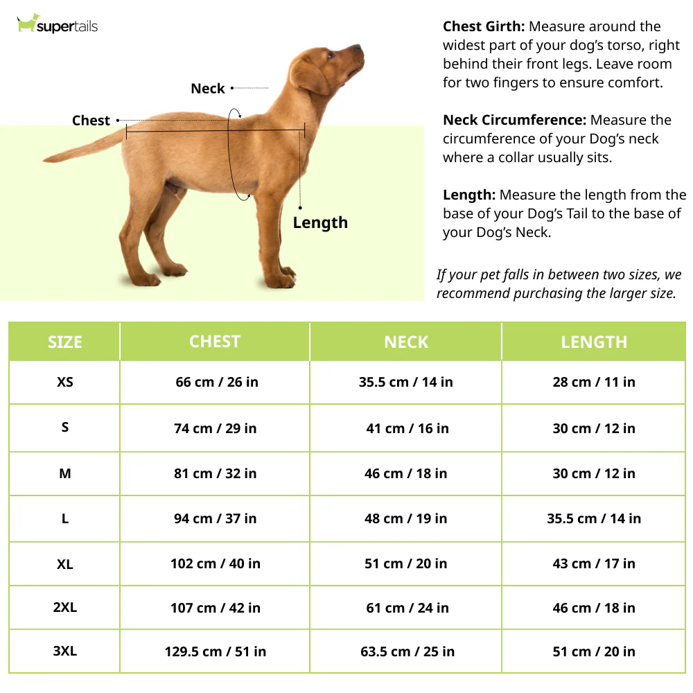 15 Furries Sanskriti Kurta for Dogs - Image 5