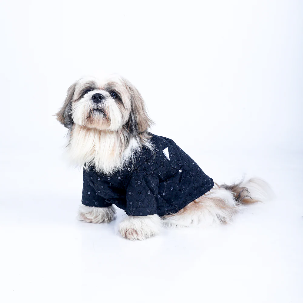 15 Furries Sherwani for Dogs (Black) - Image 3