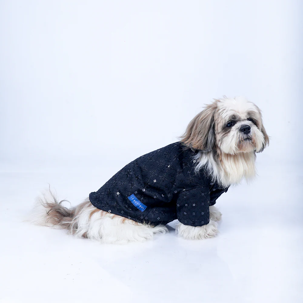 15 Furries Sherwani for Dogs (Black) - Image 4