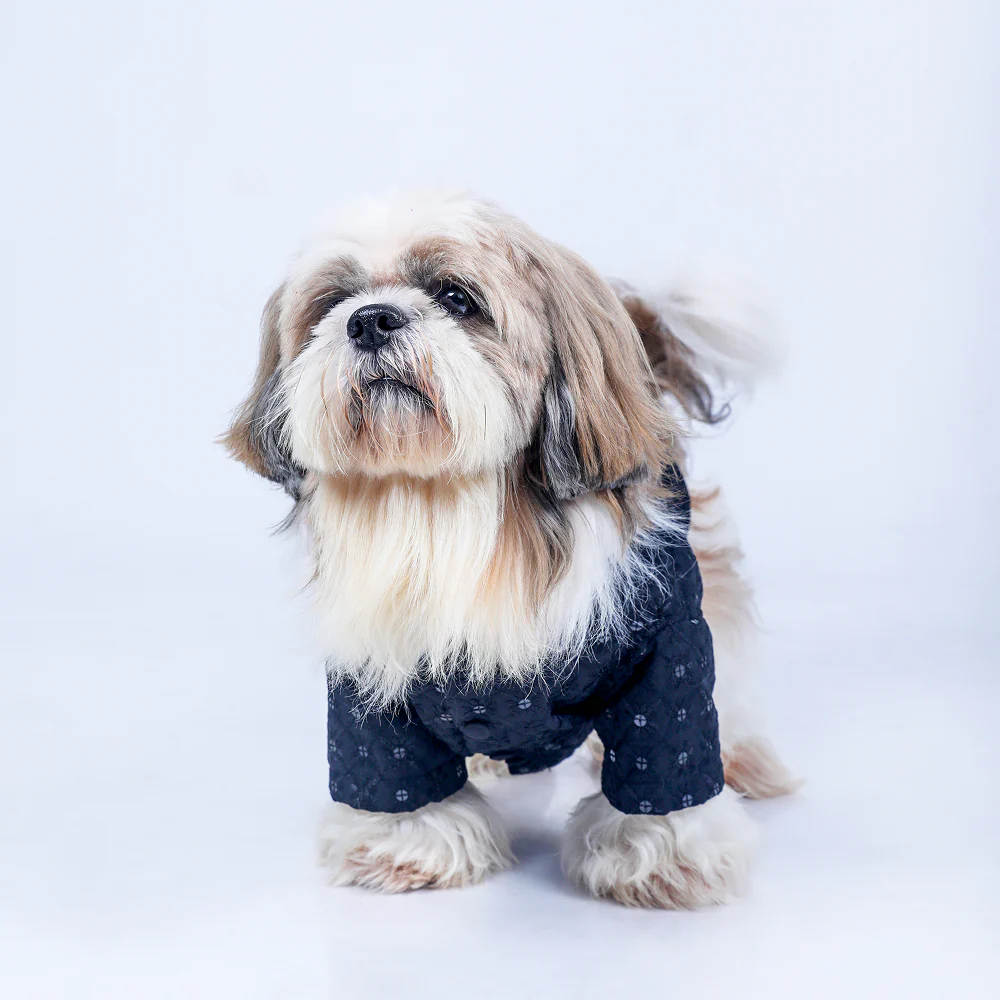 15 Furries Sherwani for Dogs (Black) - Image 5