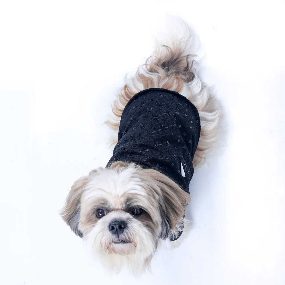 15 Furries Sherwani for Dogs (Black) - Image 6