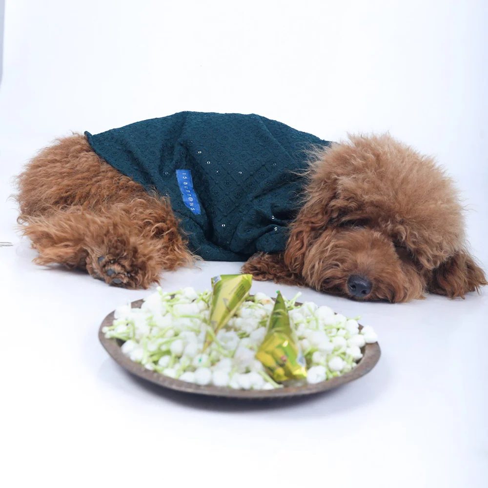 15 Furries Sherwani for Dogs (Blue) - Image 4