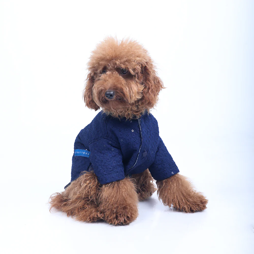 15 Furries Sherwani for Dogs (Navy Blue) - Image 3