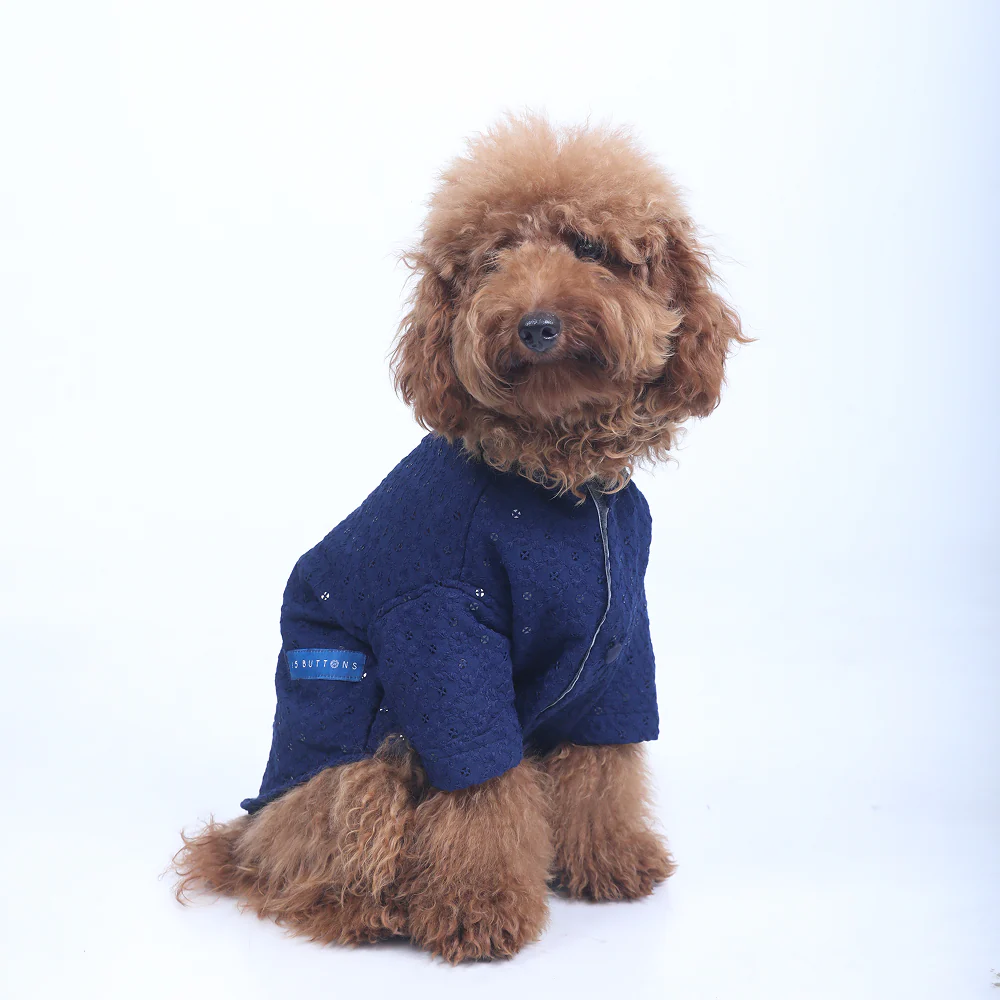 15 Furries Sherwani for Dogs (Navy Blue) - Image 4