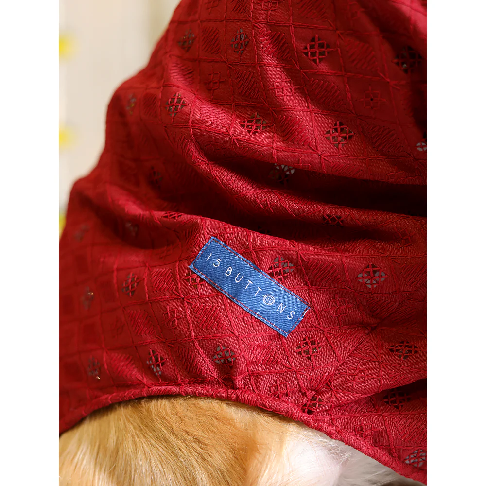 15 Furries Sherwani for Dogs (Red) - Image 4