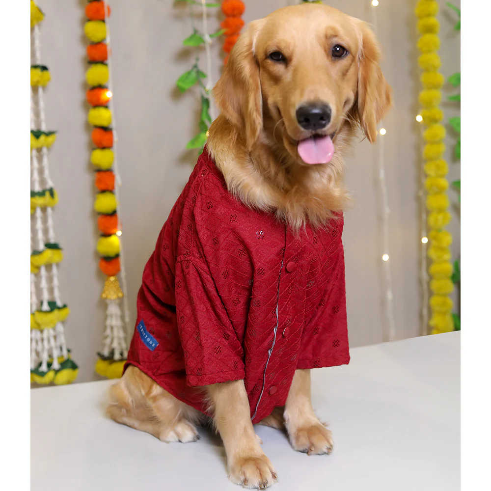 15 Furries Sherwani for Dogs (Red) - Image 5