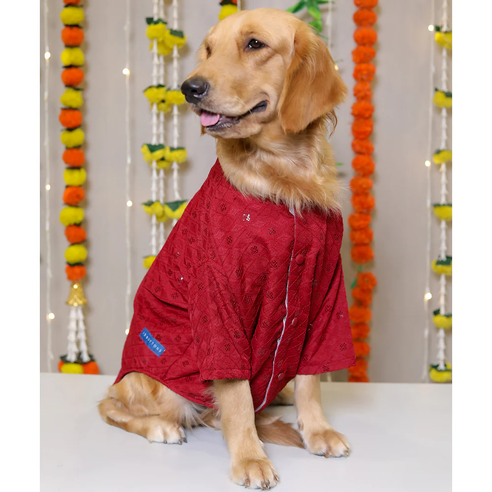 15 Furries Sherwani for Dogs (Red) - Image 6