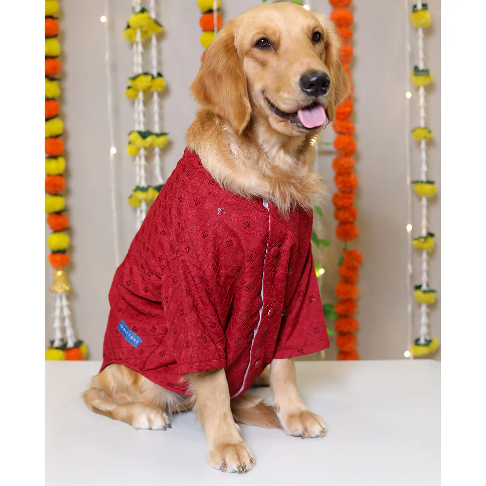 15 Furries Sherwani for Dogs (Red) - Image 7