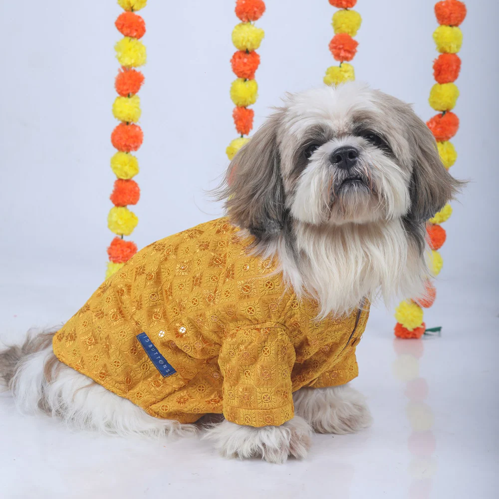 15 Furries Sherwani for Dogs (Yellow) - Image 4