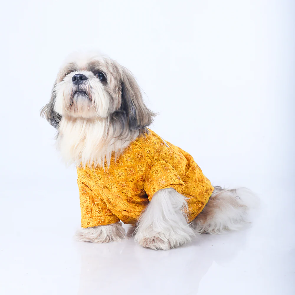 15 Furries Sherwani for Dogs (Yellow) - Image 5