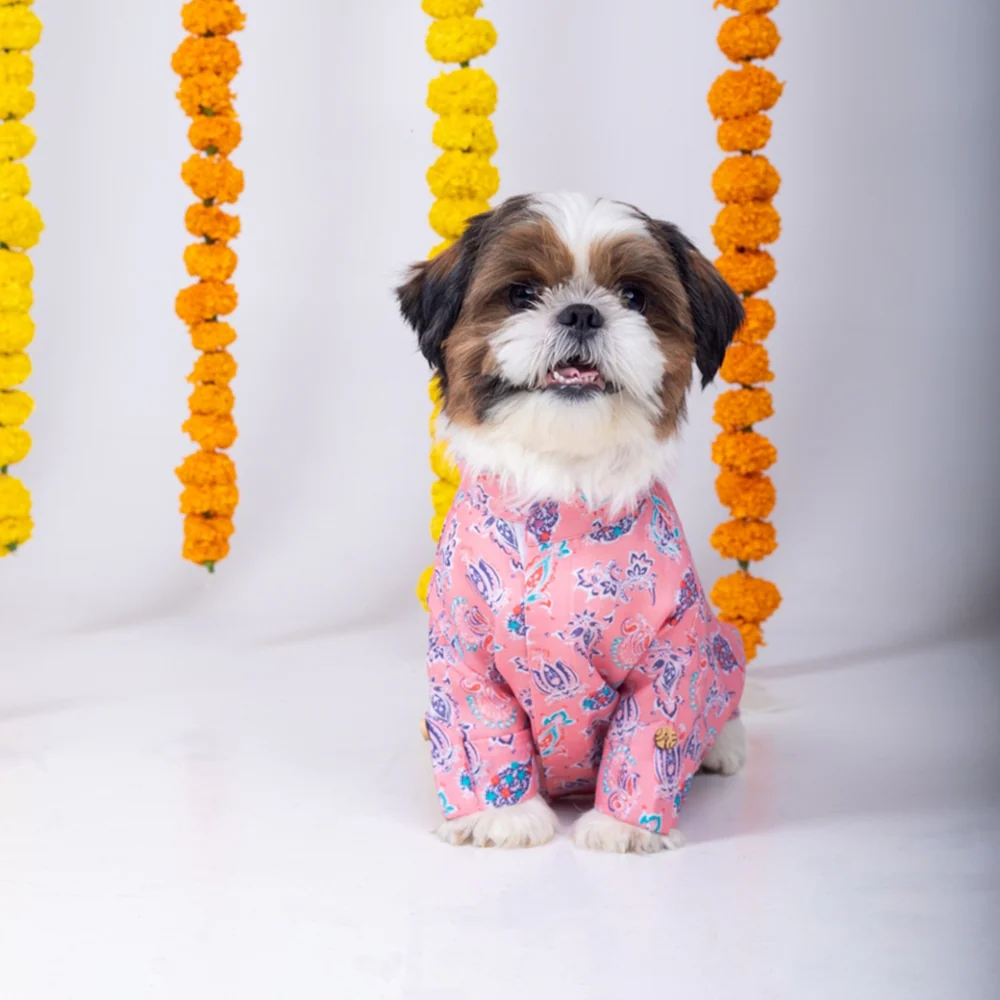 15 Furries Utsav Kurta for Dogs - Image 2