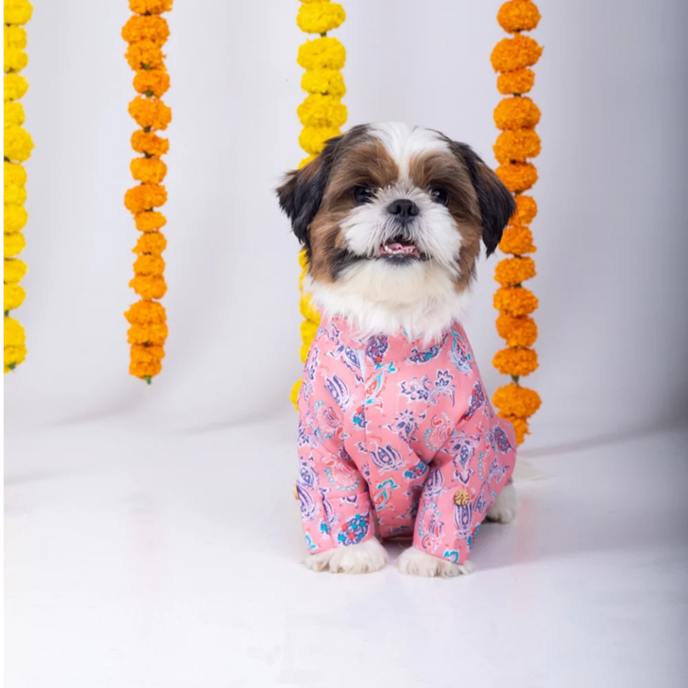 15 Furries Utsav Kurta for Dogs - Image 4