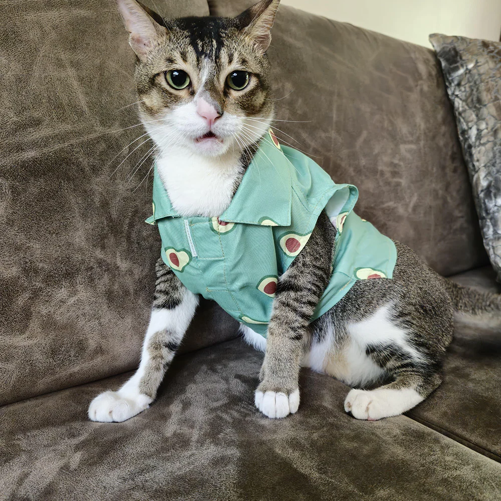 15 Furries Avocado Shirt for Cats (Green) - Image 11