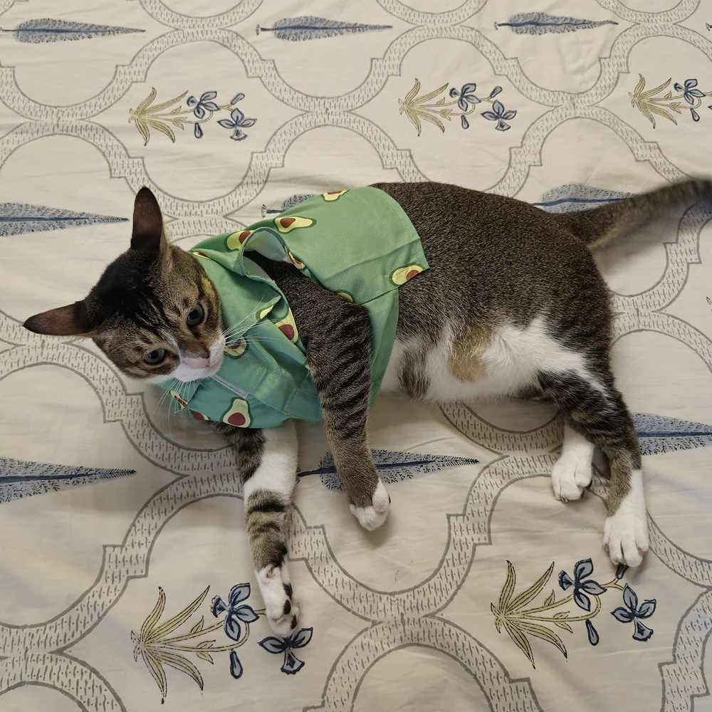 15 Furries Avocado Shirt for Cats (Green) - Image 13