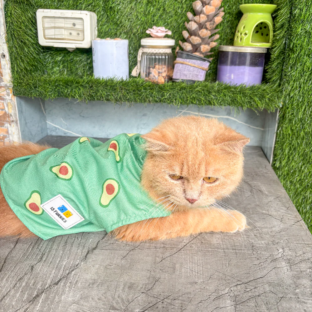 15 Furries Avocado Shirt for Cats (Green) - Image 3