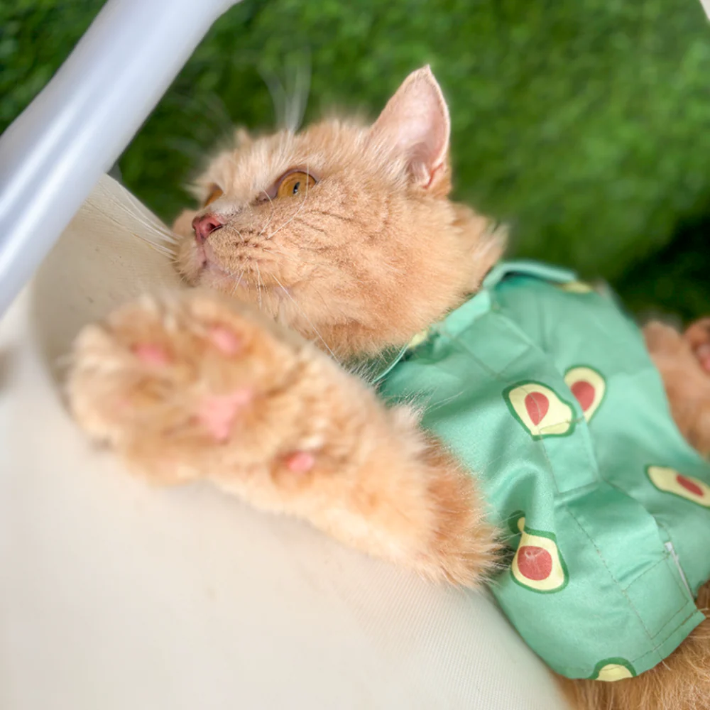 15 Furries Avocado Shirt for Cats (Green) - Image 4