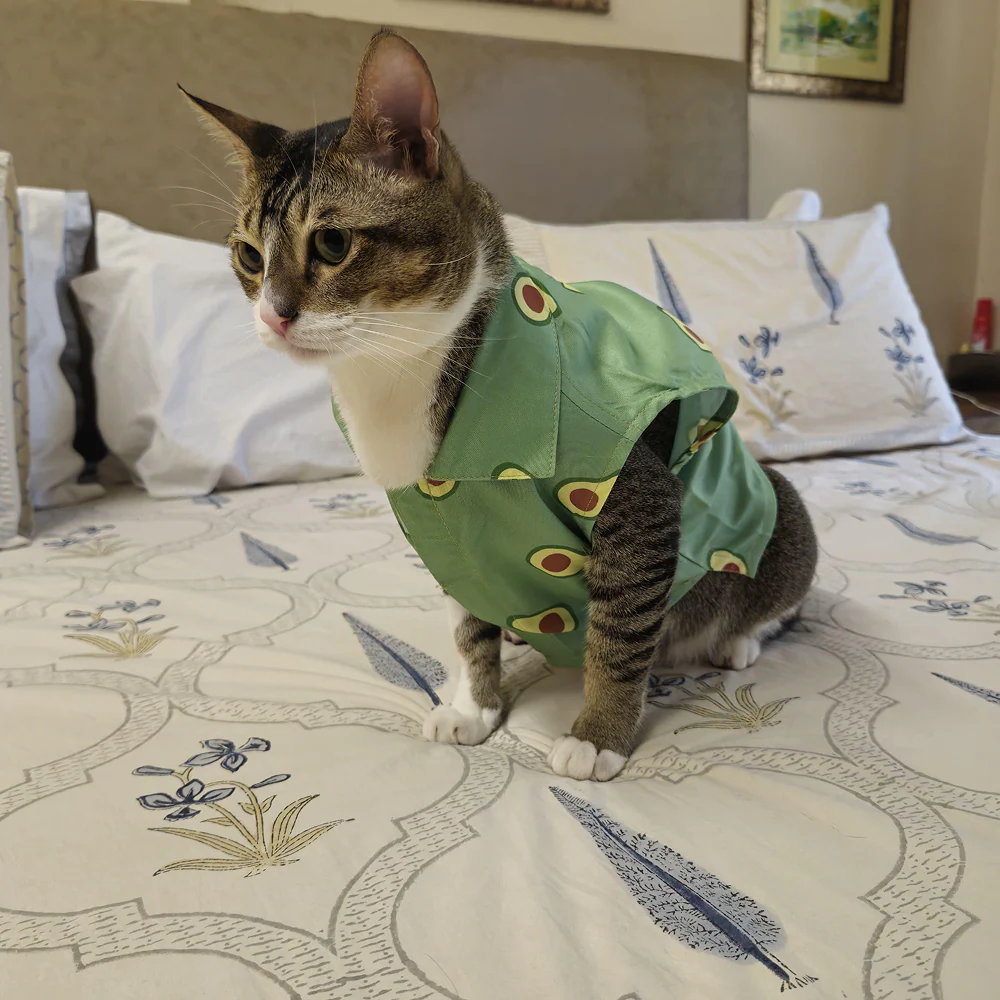 15 Furries Avocado Shirt for Cats (Green) - Image 5