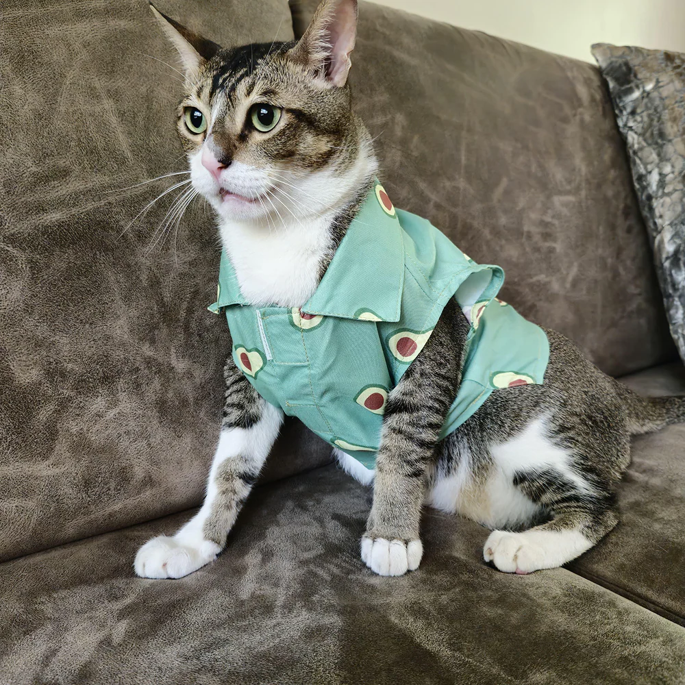15 Furries Avocado Shirt for Cats (Green) - Image 7