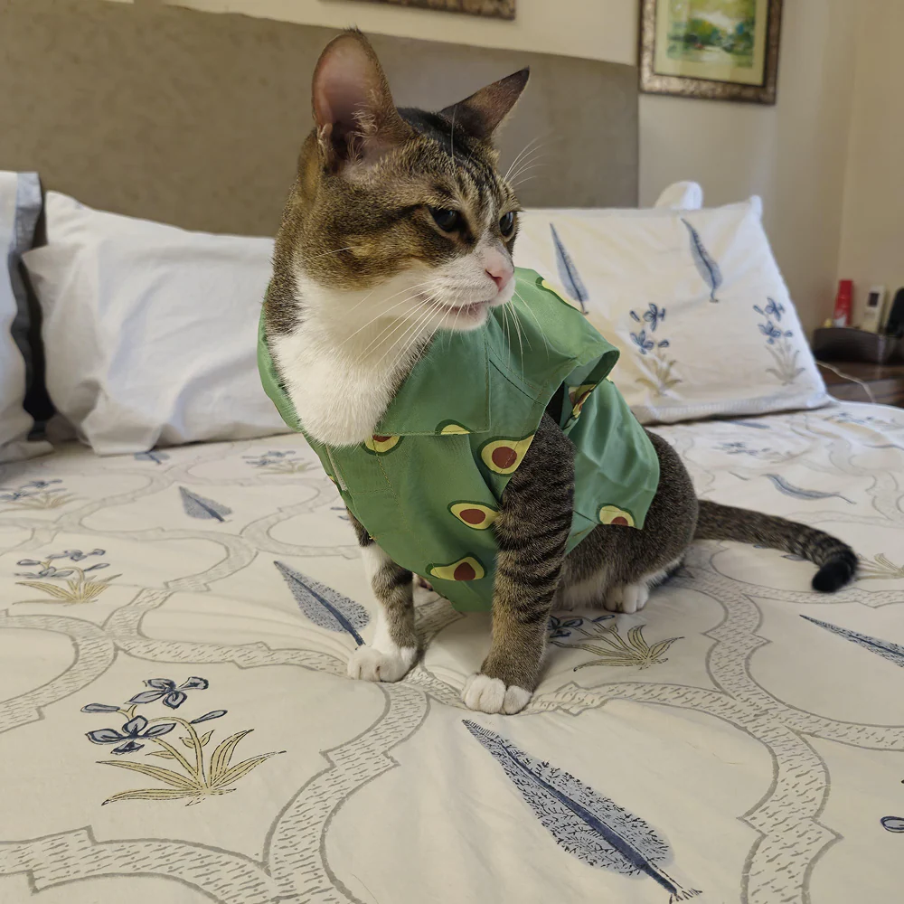 15 Furries Avocado Shirt for Cats (Green) - Image 9