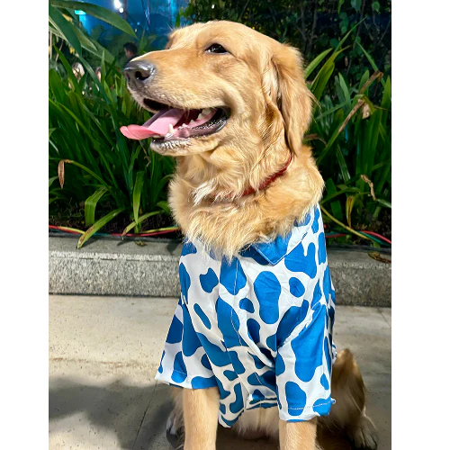 15buttons Blue Moo Shirt for Dogs - Image 2