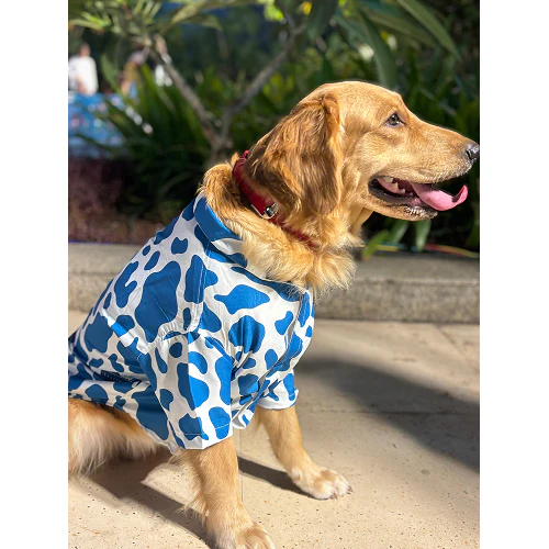 15buttons Blue Moo Shirt for Dogs - Image 4