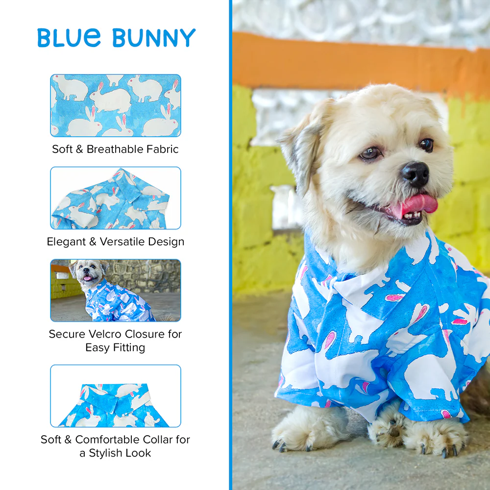 15buttons Bunny Shirt for Dogs - Image 6