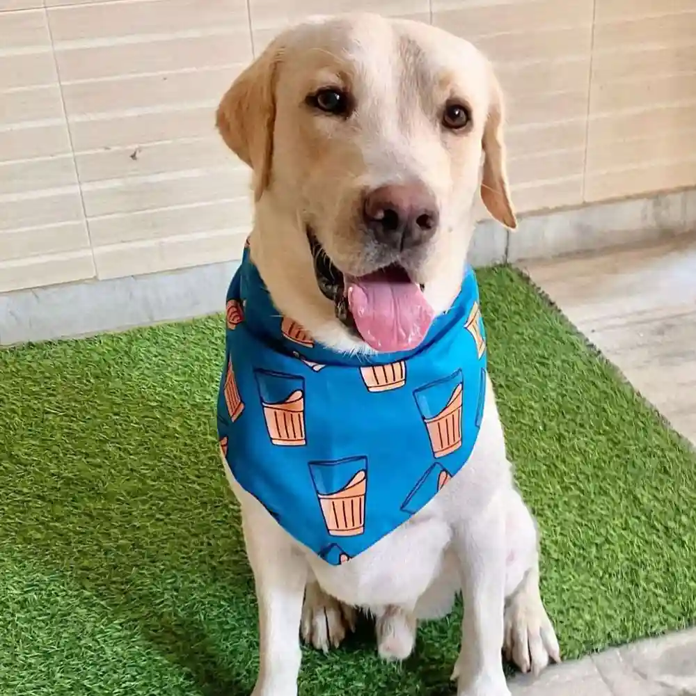 15buttons Cutting Chai Bandana for Dogs - Image 4