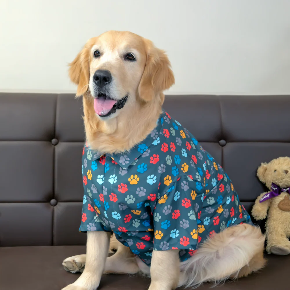 15buttons Pawsome Shirt for Dogs - Image 3