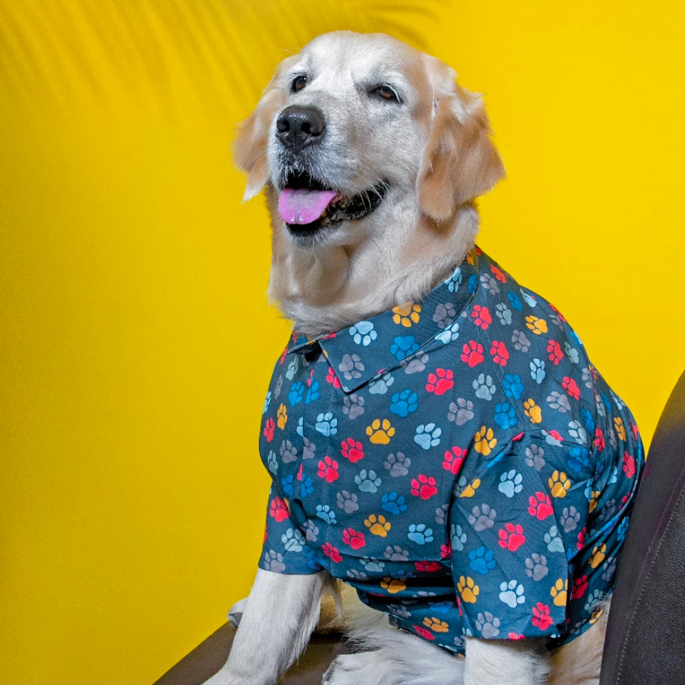 15buttons Pawsome Shirt for Dogs - Image 4
