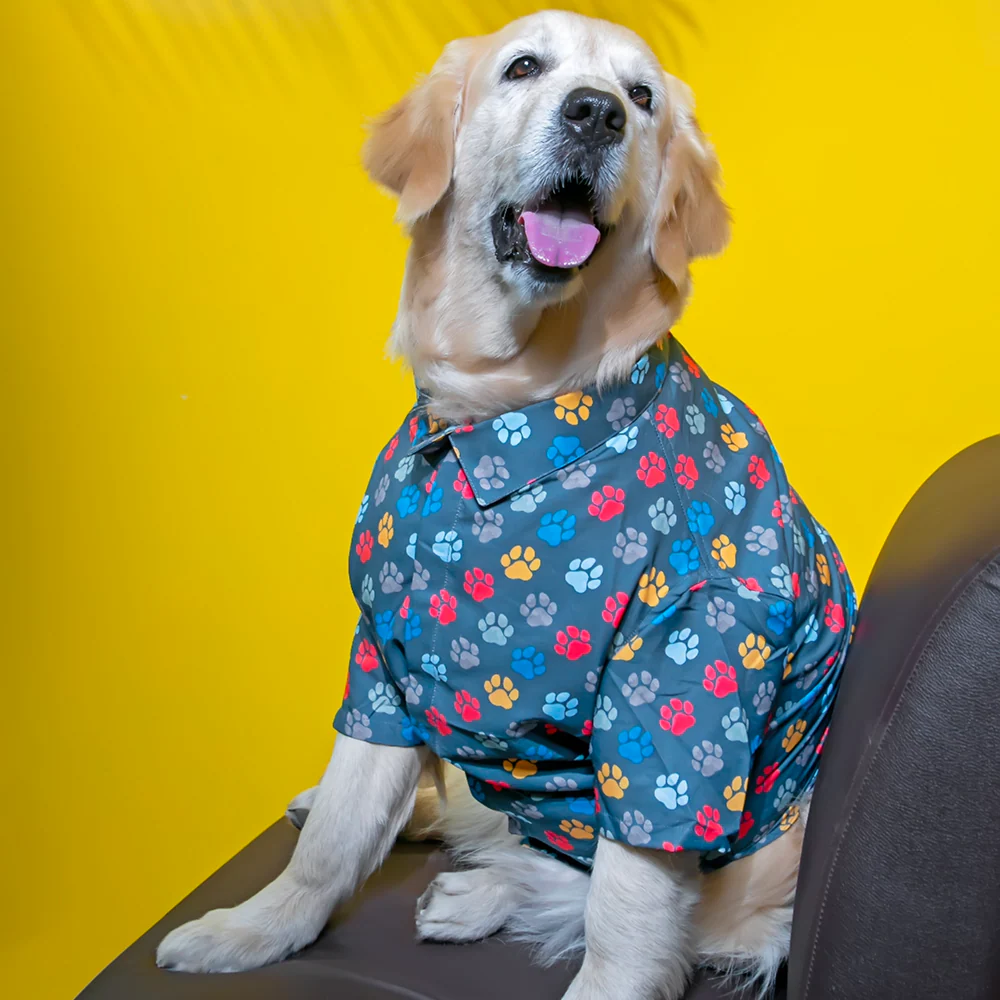 15buttons Pawsome Shirt for Dogs - Image 5