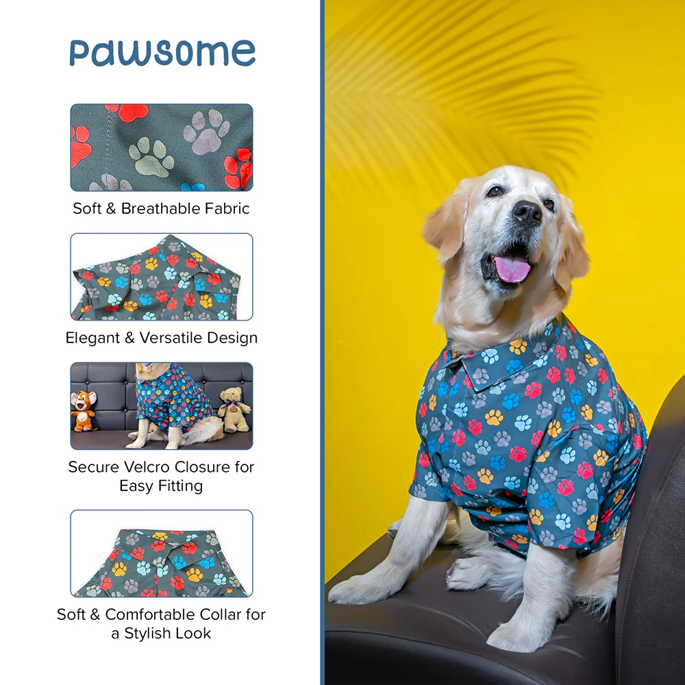15buttons Pawsome Shirt for Dogs - Image 7