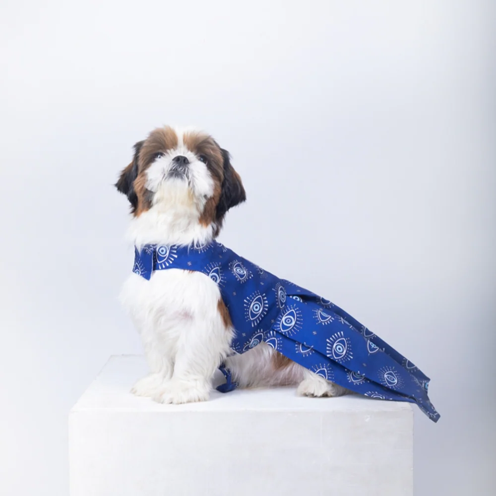 15 Furries Evil Eye Dress for Dogs - Image 2