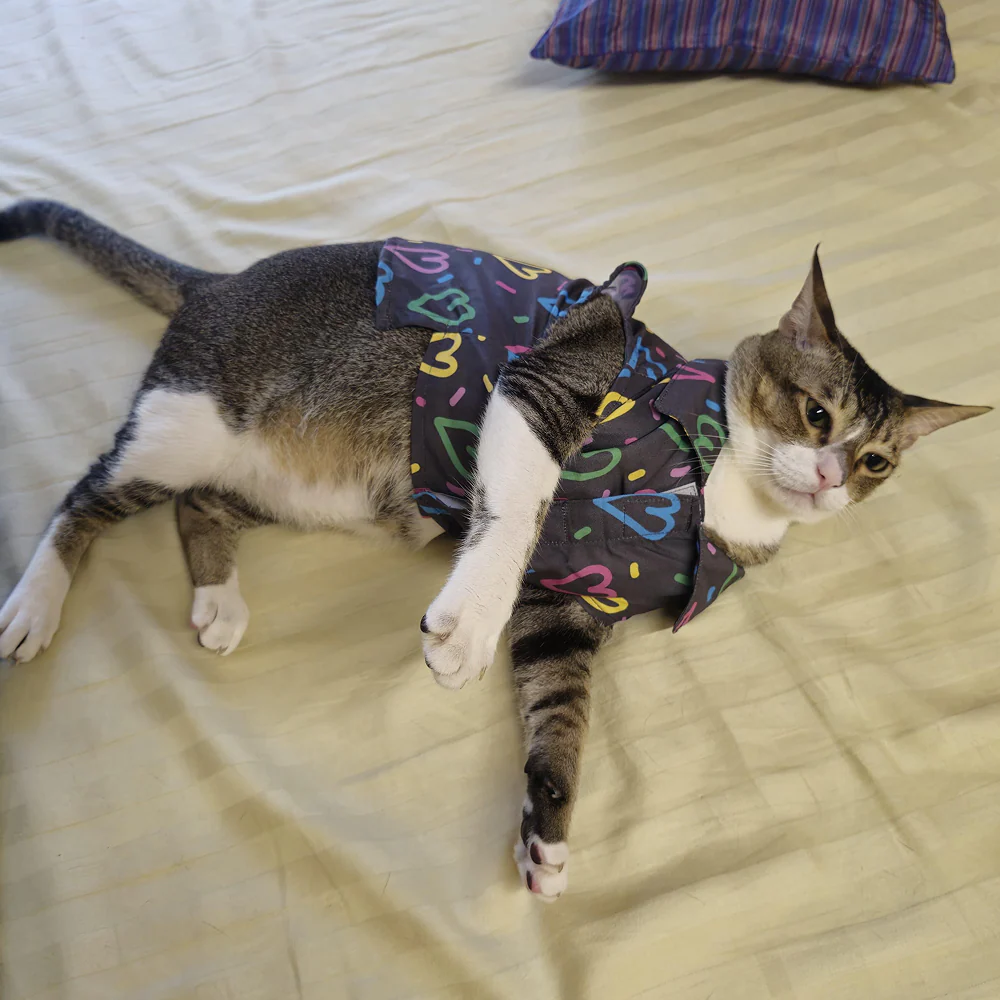 15 Furries Heart Buzz Shirt for Cats (Black) - Image 10