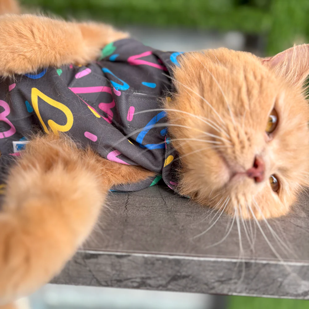 15 Furries Heart Buzz Shirt for Cats (Black) - Image 11