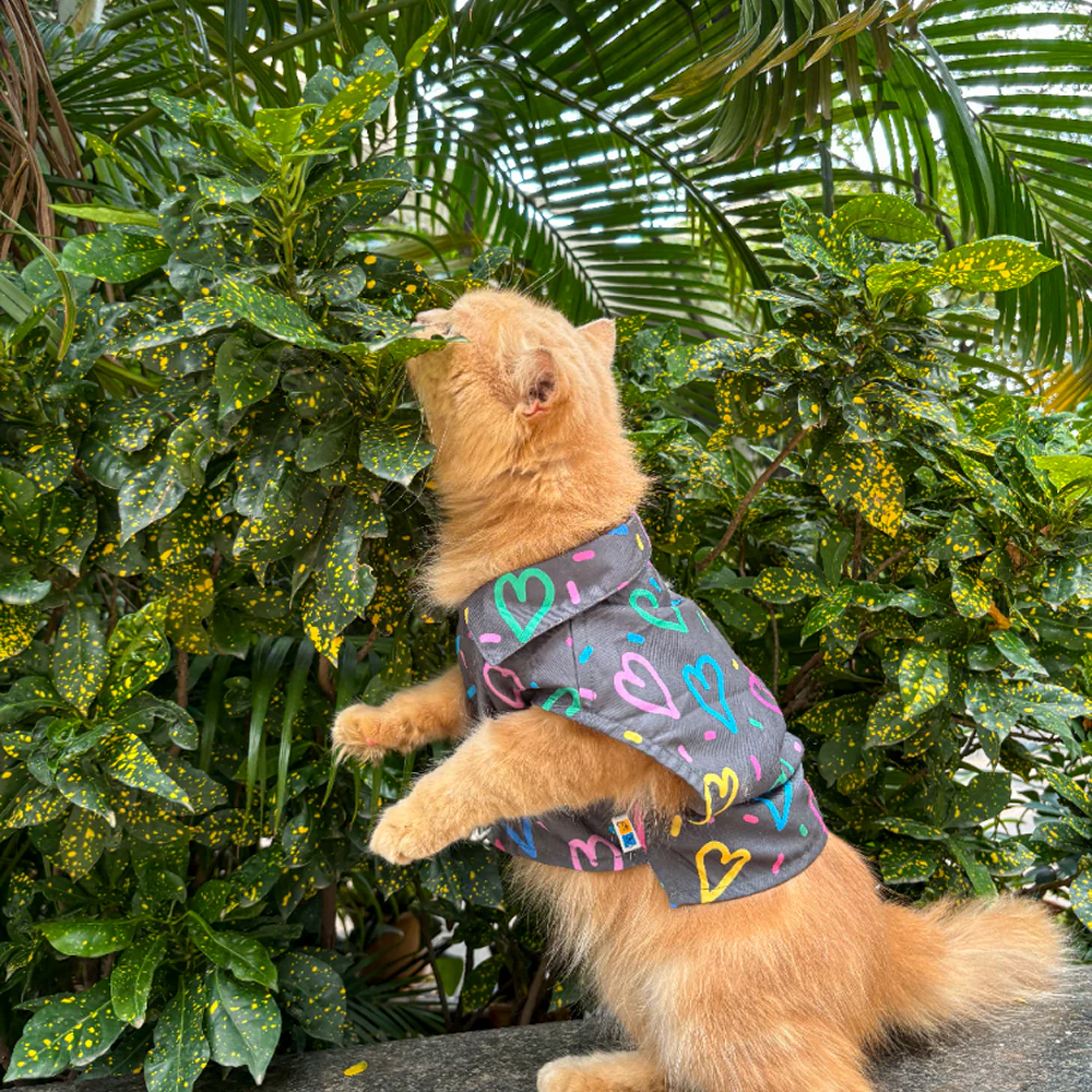 15 Furries Heart Buzz Shirt for Cats (Black) - Image 2