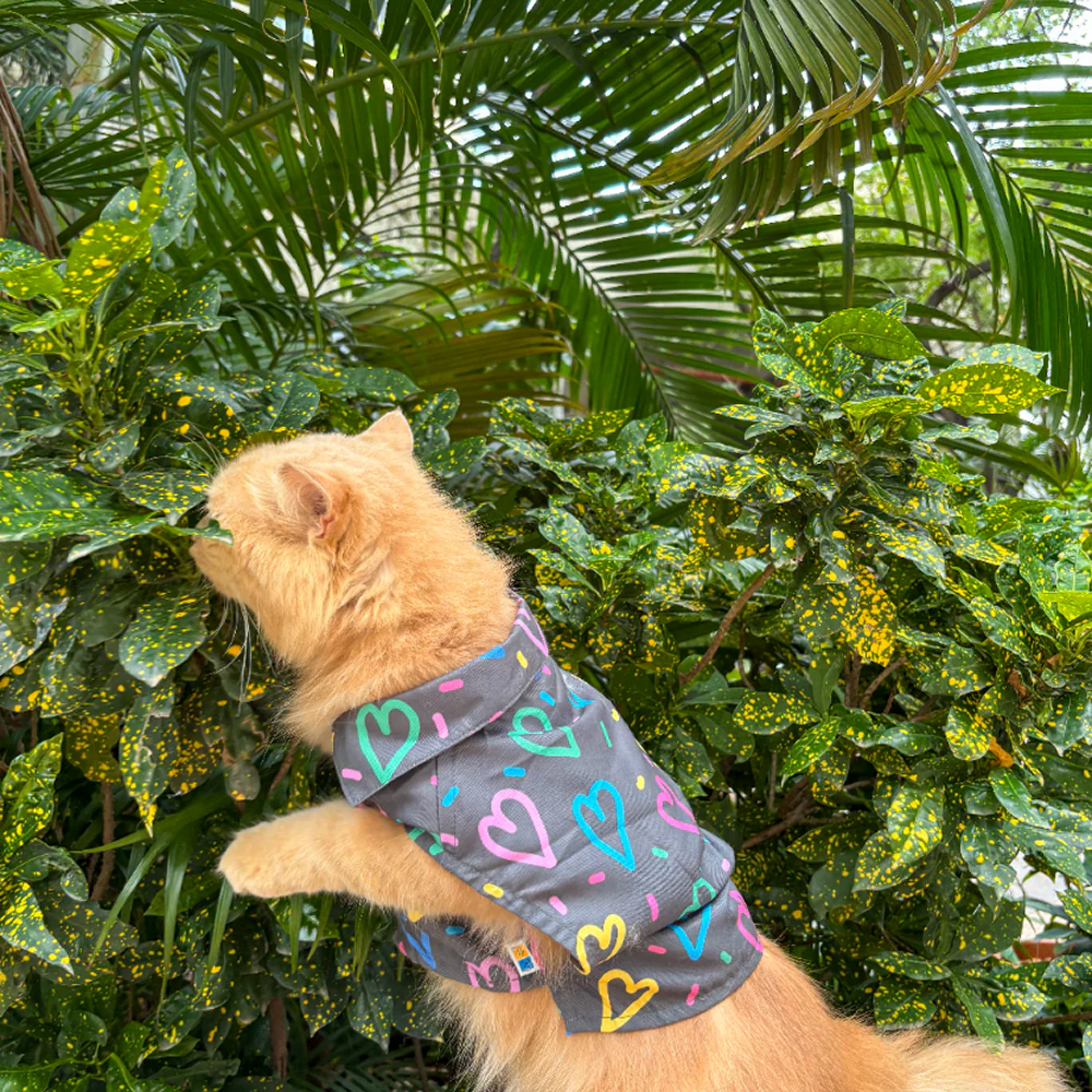 15 Furries Heart Buzz Shirt for Cats (Black) - Image 4