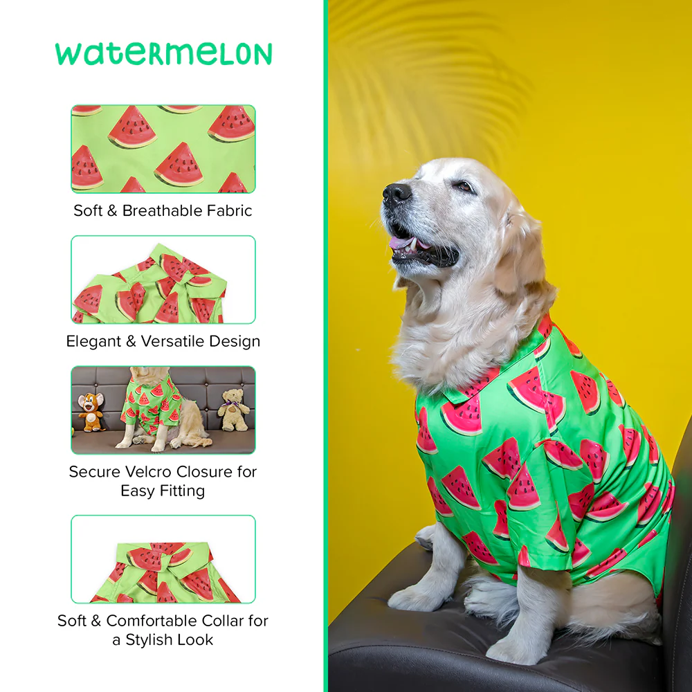 15buttons Watermelon Shirt for Dogs - Image 6